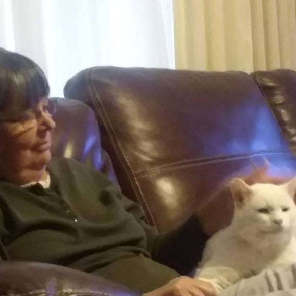 Meet your Posher, Dian - Picture 1 of 1